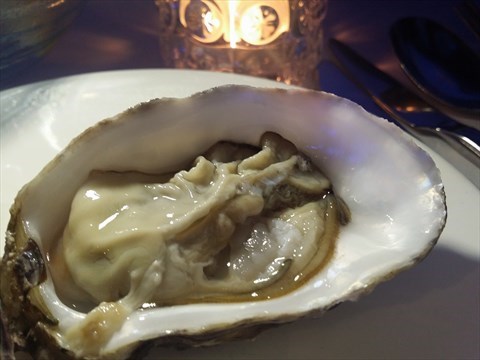 C+ Bar &amp; Cuisine的相片 - 紅磡