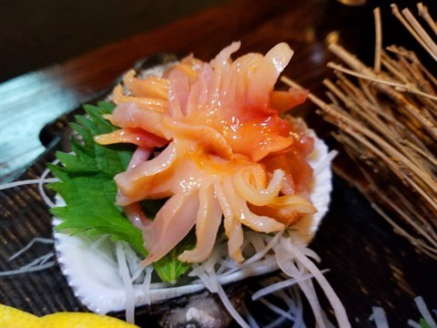 活赤貝 - 西環的神川日本料理