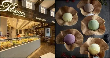 【新店直击】Passion by Gérard Dubois进军MK　