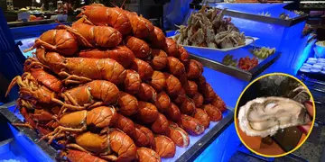 蚝食龙虾!详睇尖东酒店自助餐两大回本位