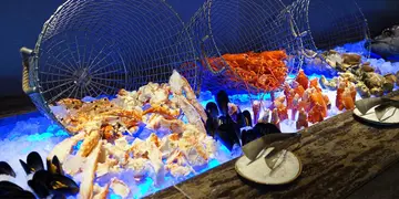北角新海景酒店自助餐 波士頓龍蝦即劏吞拿魚