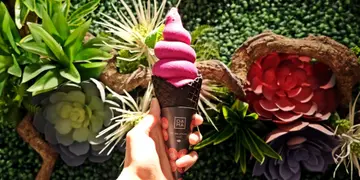 必試純素軟雪糕+精緻戚風蛋糕！尖東新開健康輕食飲品店（有片）