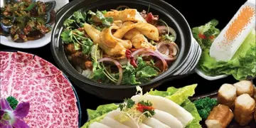 【識食攻略】高質靚料雞煲 良朋相聚好去處