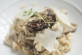 Bacalhau Risotto with Wild Mushrooms