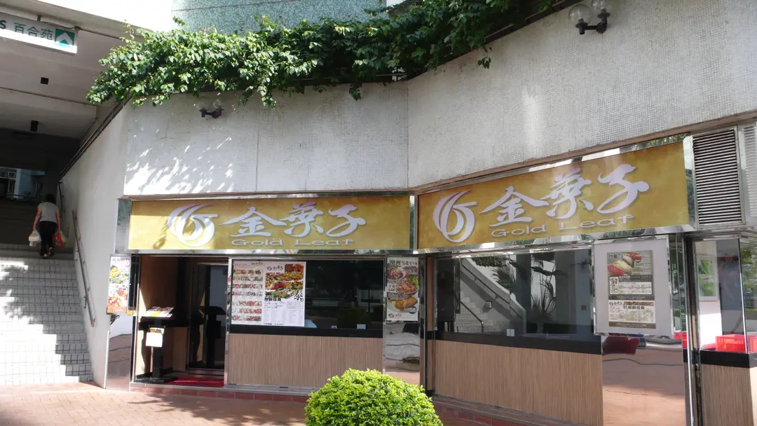 金葉子