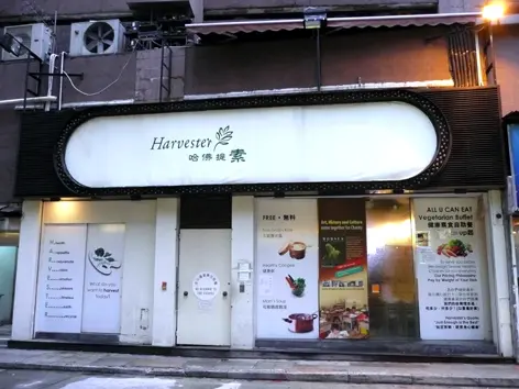 哈佛提素
