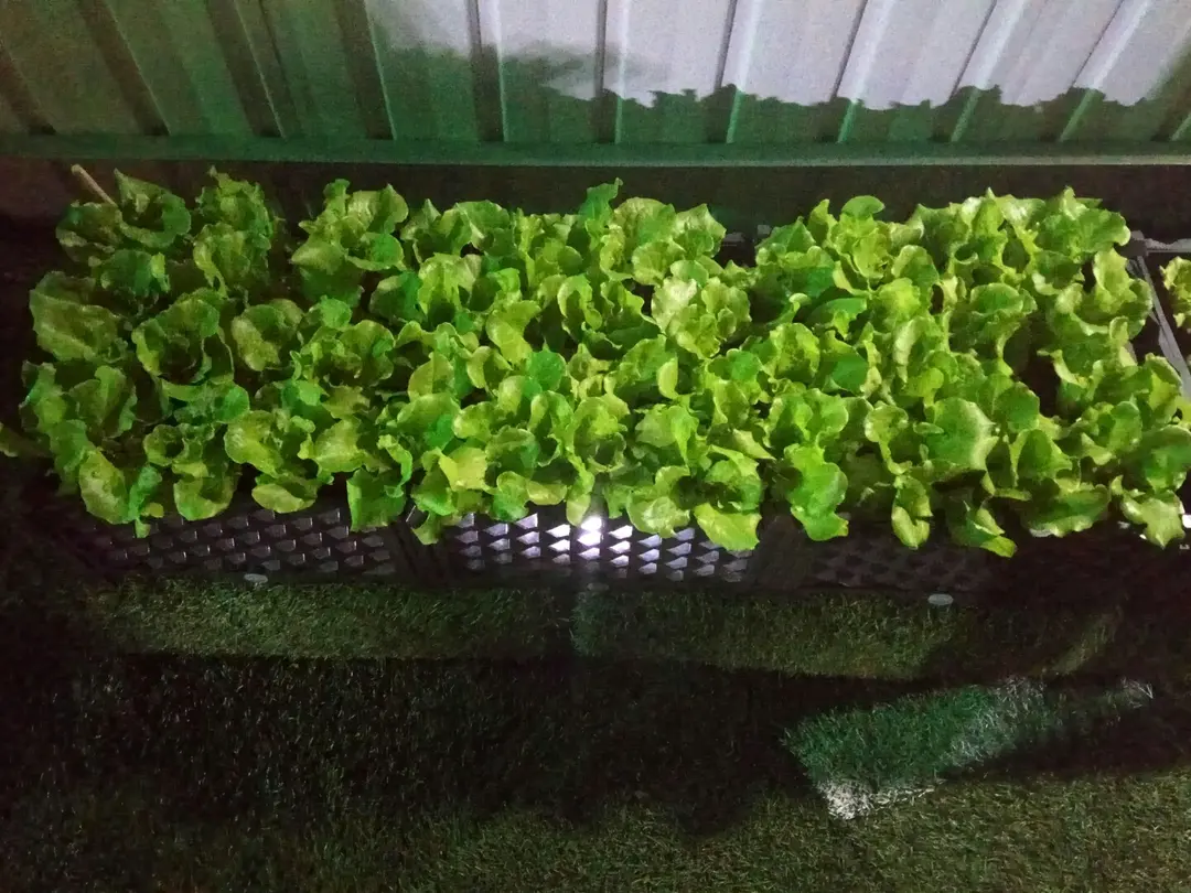 聚點私人派對場地