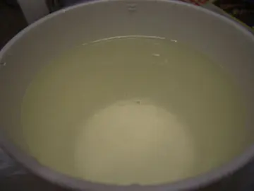 冰糖燉燕窩