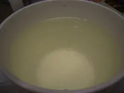 冰糖燉燕窩