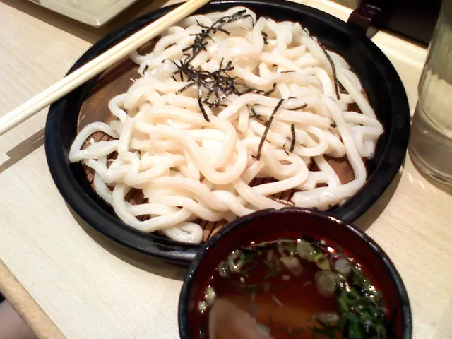 赤丸冷烏冬(大)