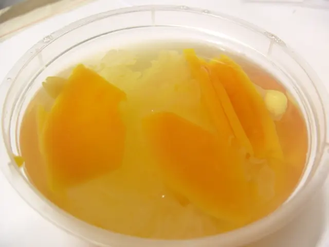 南北杏木瓜燉雪耳