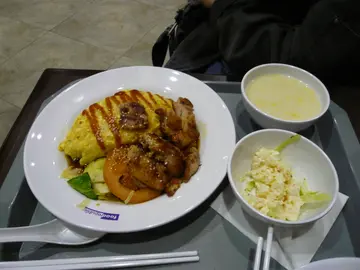 雞扒蛋包飯