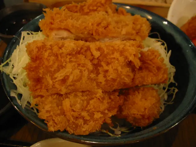 炸雞扒醬蓋飯