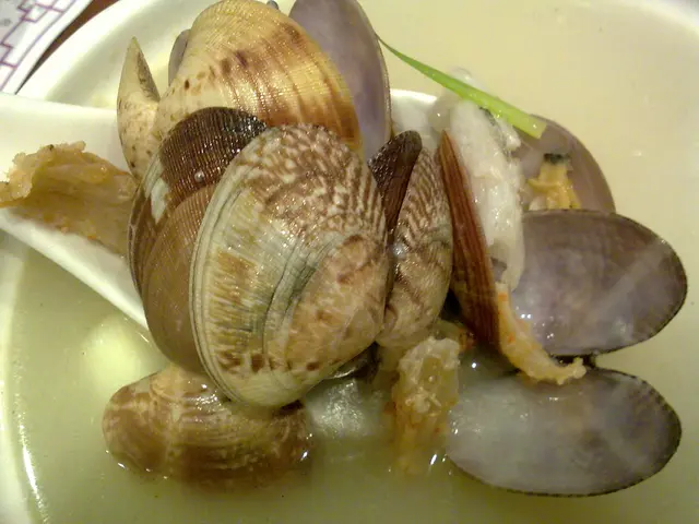 蜆肉蝦乾九肚魚湯