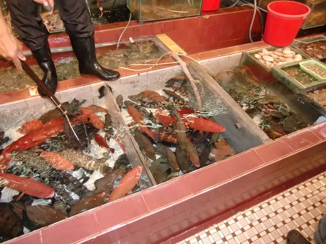 海鮮檔 正在撈緊的魚要400元