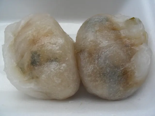 潮州粉果