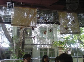 Spoil Cafe&#39;s photo in Wan Chai 