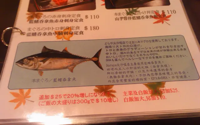 藍鰭吞拿魚簡介
