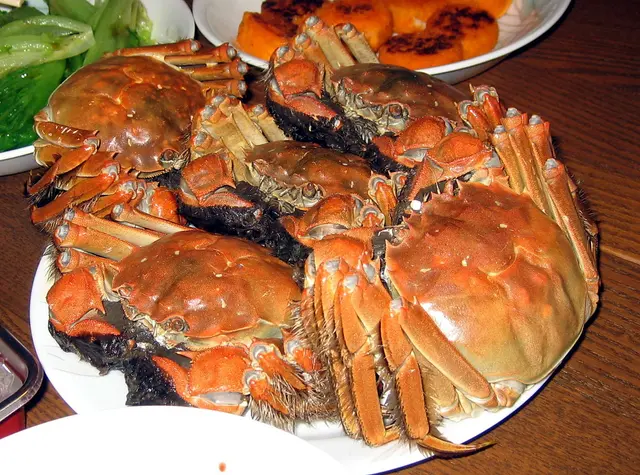 六両蟹公 5 隻，正！