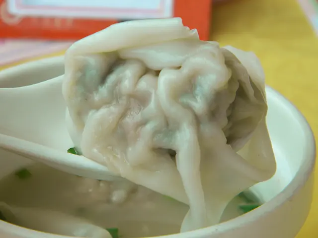 菜肉雲吞好大隻