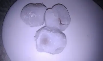 豆沙包