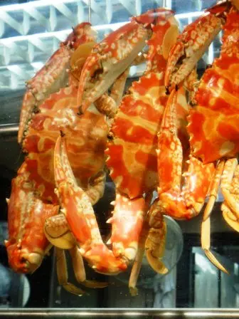 吃不起的巨型凍蟹