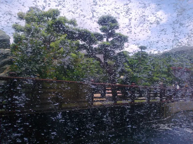 我們的位置就在瀑布旁, '齋'看就感覺充滿芬多精~