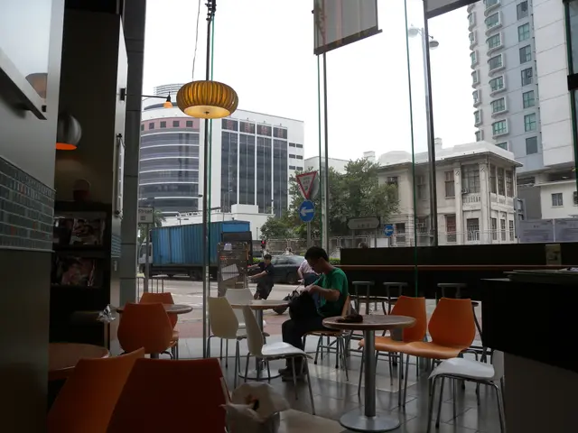 內在環境 - 落地大玻璃