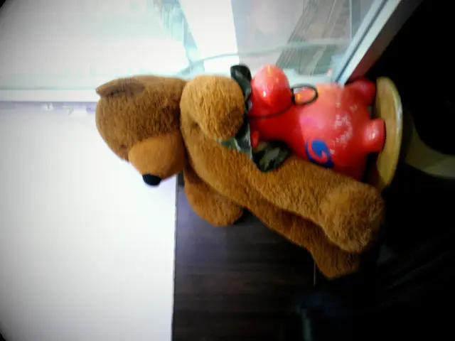大大bearbear