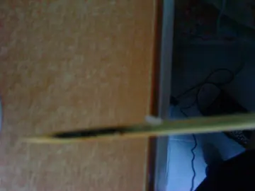 黑过黑纸的竹签..