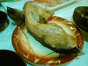冇特色的三文鱼鲛~~