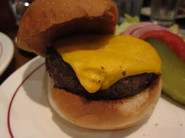經典芝士漢堡 (Classic Cheese Burger)