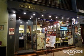 紅螞蟻