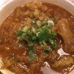 Curry beef brisket noodles