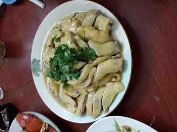 沙疆雞