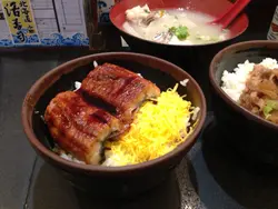 双色鳗鱼饭