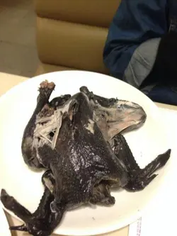 因為個人唔中意食烏雞，所以幾乎冇食過