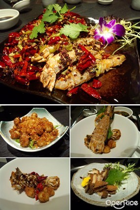 川味瀬尿蝦、黃金墨魚咀、涼拌鮑魚 - Champ Hot Pot in Tsim Sha Tsui 