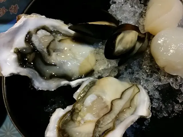 淨係掛住食， 唯一影低左生蠔併盤