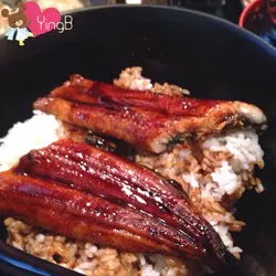 肥嘟嘟鳗鱼饭