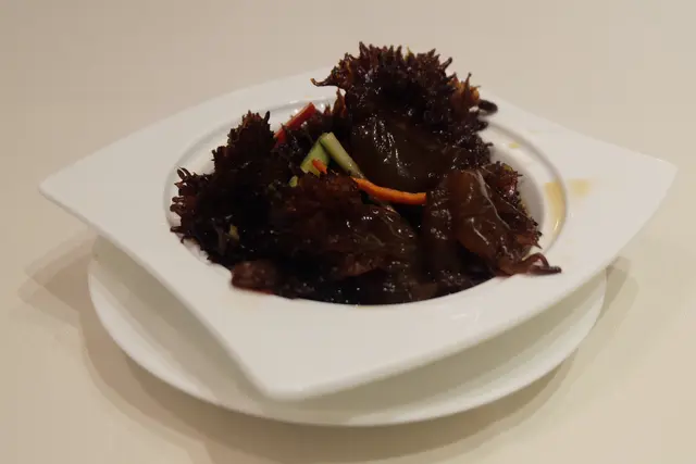珊瑚海蜇頭