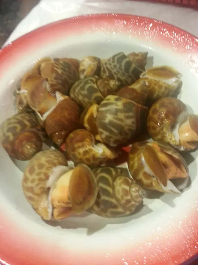 東風螺 ($32 per dish)