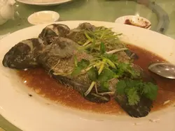 蒸唔熟,仲话系老虎班,你话系咩鱼