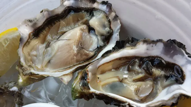 Irish Rock Oysters