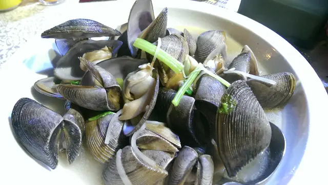 油鹽水蝴蝶蚌