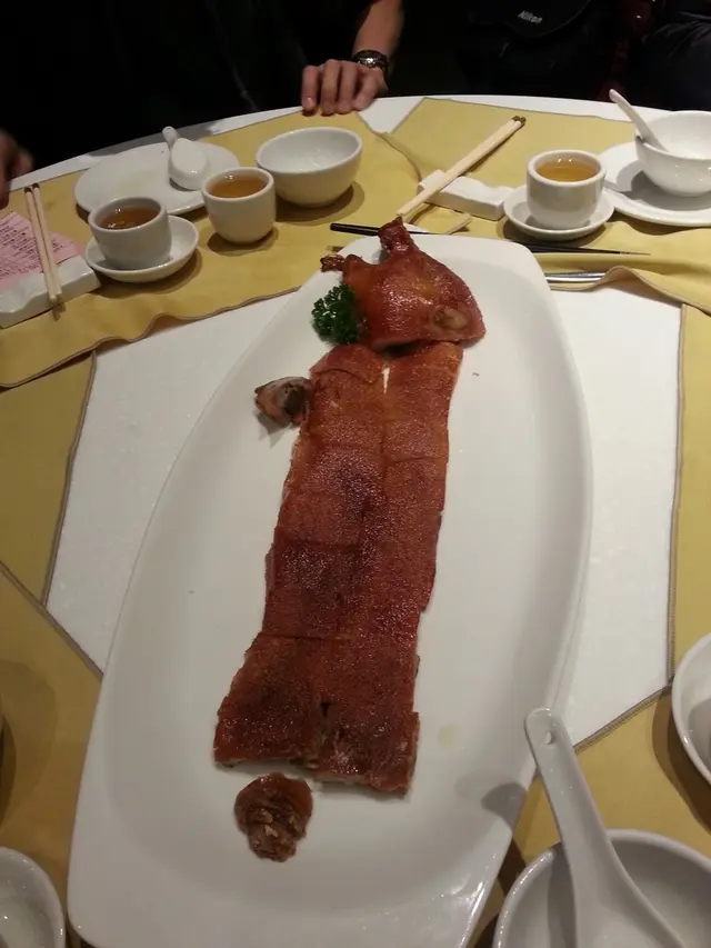 BB豬