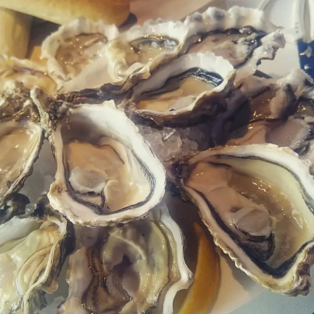 Fresh oysters