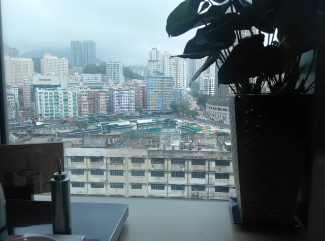 身處9樓,景觀非常開揚