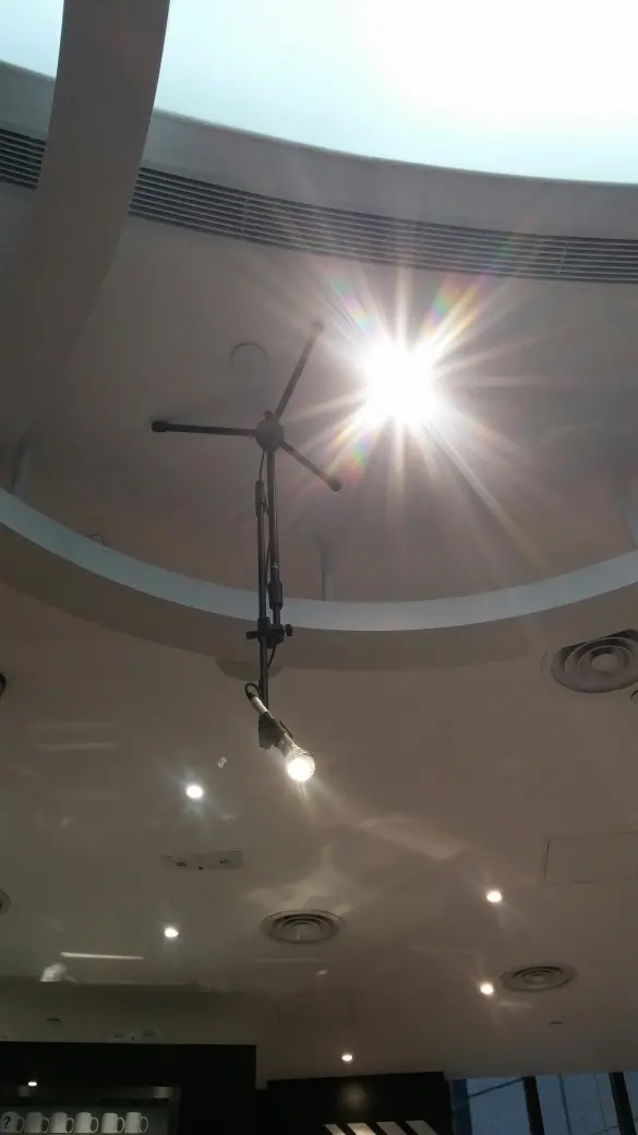 用倒吊的企咪做掛燈創意十足, 貫徹店內主題