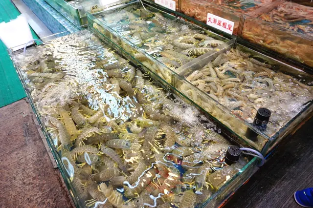 泰國瀨尿蝦皇